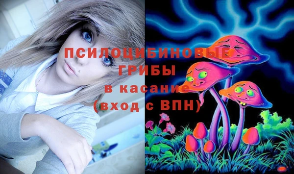 соль ск Балабаново