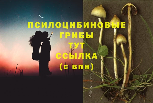 дурь Пролетарск