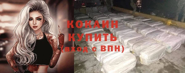 сатива Баксан