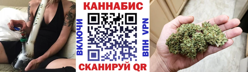 Бошки Шишки план Сураж