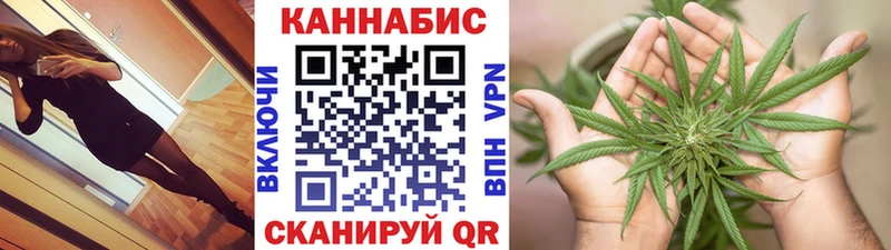 где купить наркоту  Сураж  omg зеркало  Бошки Шишки THC 21% 